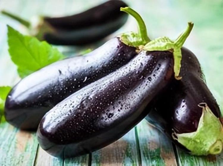 现代蔬菜种植季节变化对茄子酚类组成和抗氧化能力的影响