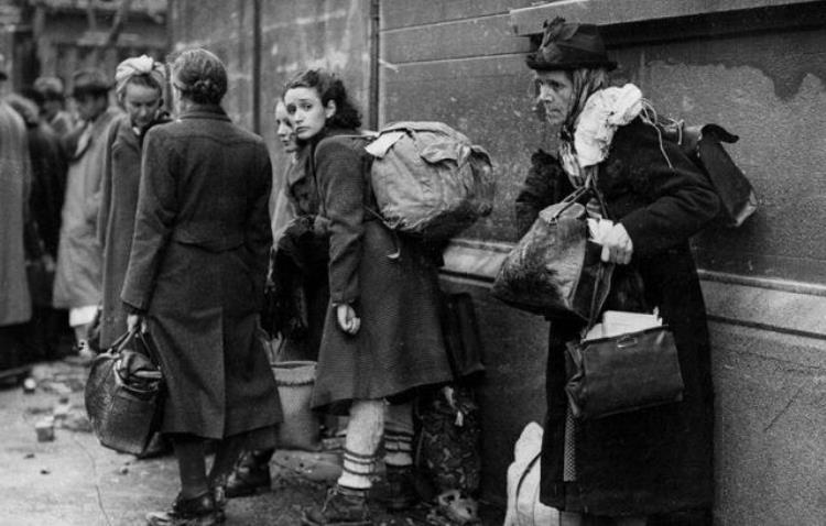 纳粹对德国犹太人的经济歼灭战掠夺产业迫使他们流亡海外