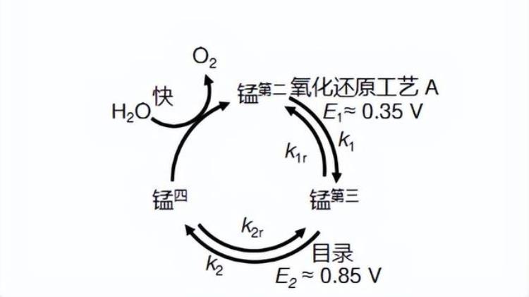 氧化还原反应中MnO2催化剂在其中所产生的作用