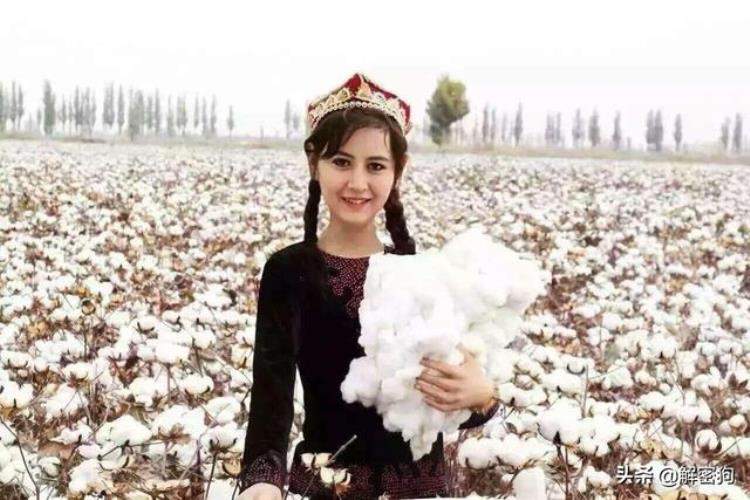 HM等国外品牌抵制新疆棉花的事件到底是怎么回事儿
