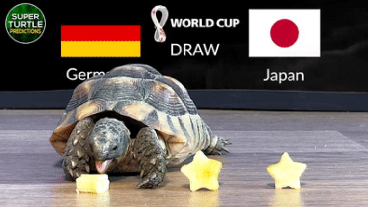 世界杯中的顶级玄学大熊猫成功预测到德国会输