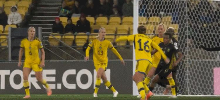 女足世界杯瑞典21逆转南非拉玛莱佩送乌龙伊尔斯泰特头球绝杀