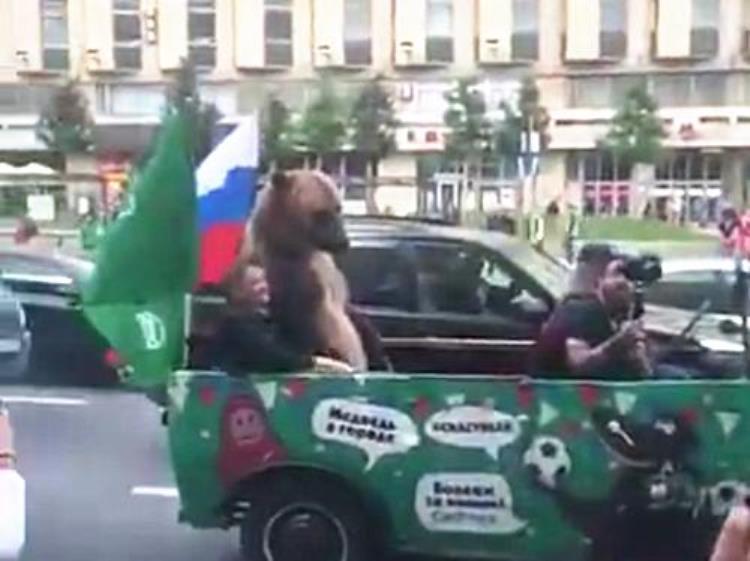 不愧是战斗民族现实版熊出没游街庆祝俄罗斯50沙特