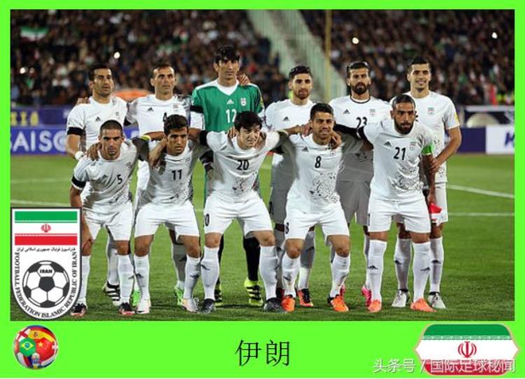 权威观赛助手2018俄罗斯世界杯图鉴之B组伊朗队