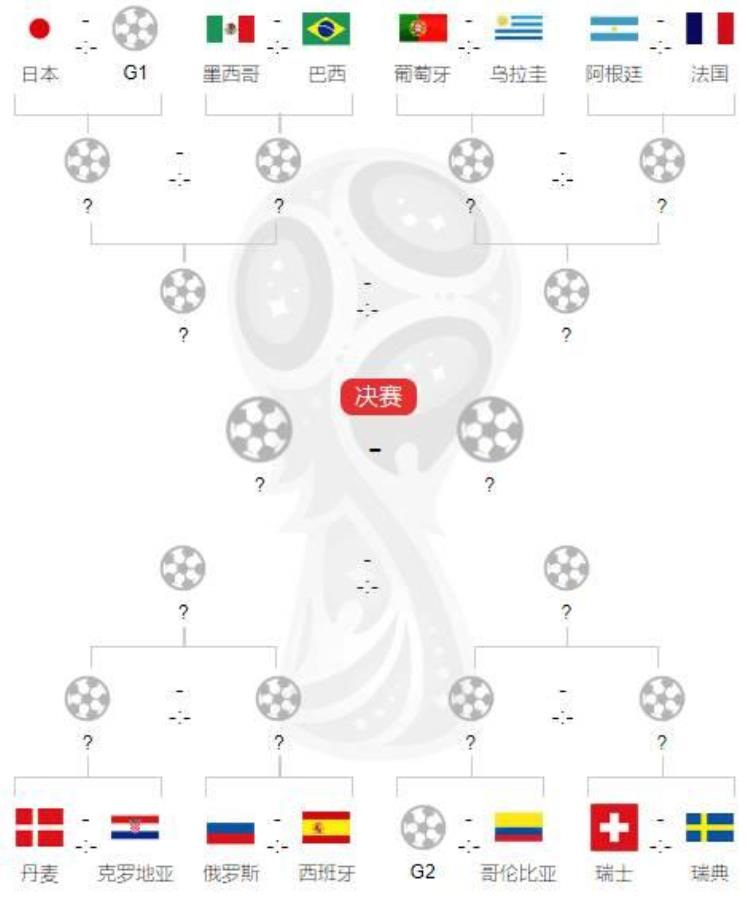 2018俄罗斯世界杯八强,俄罗斯世界杯8强情况