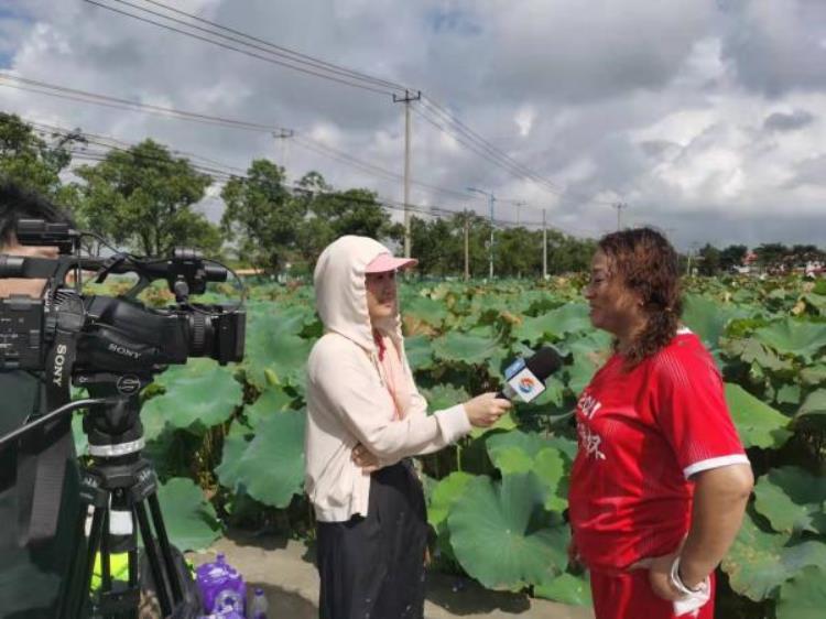 当荷花邂逅运动这片泥地足球场快乐并狼狈着悄然打造体旅融合新品牌