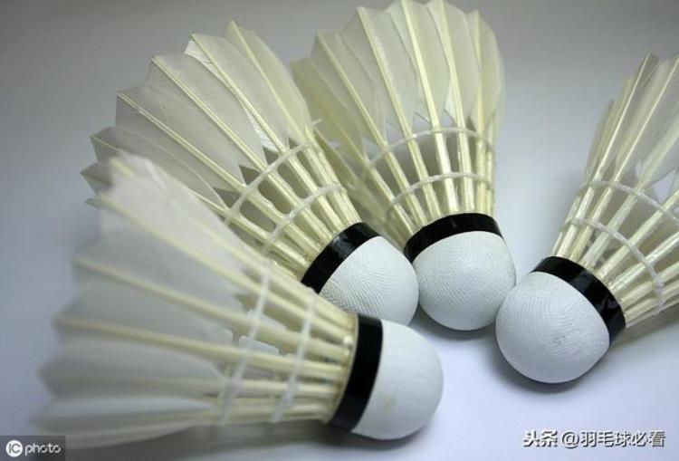 羽毛球胶水的区别羽毛球主要构成要素及参数羽毛球克重来源