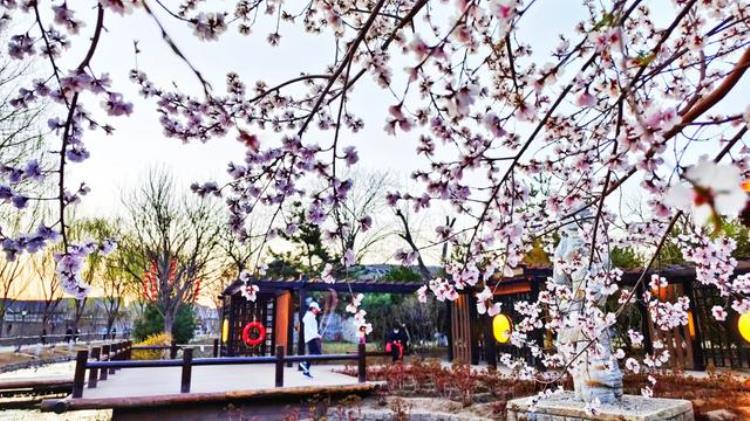 第五届美丽街巷我的家优秀作品评选揭晓了什么「第五届美丽街巷我的家优秀作品评选揭晓」