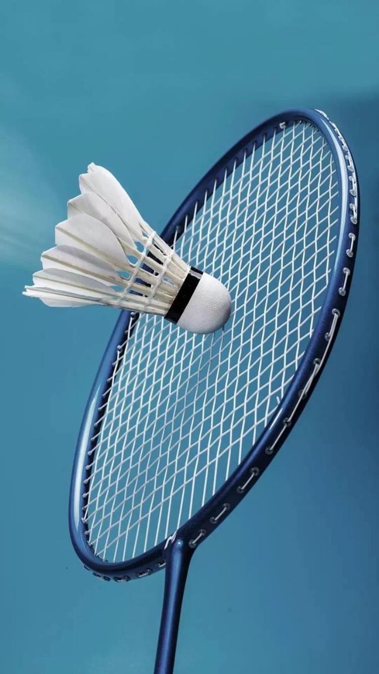 为什么说羽毛球是一项贵族运动