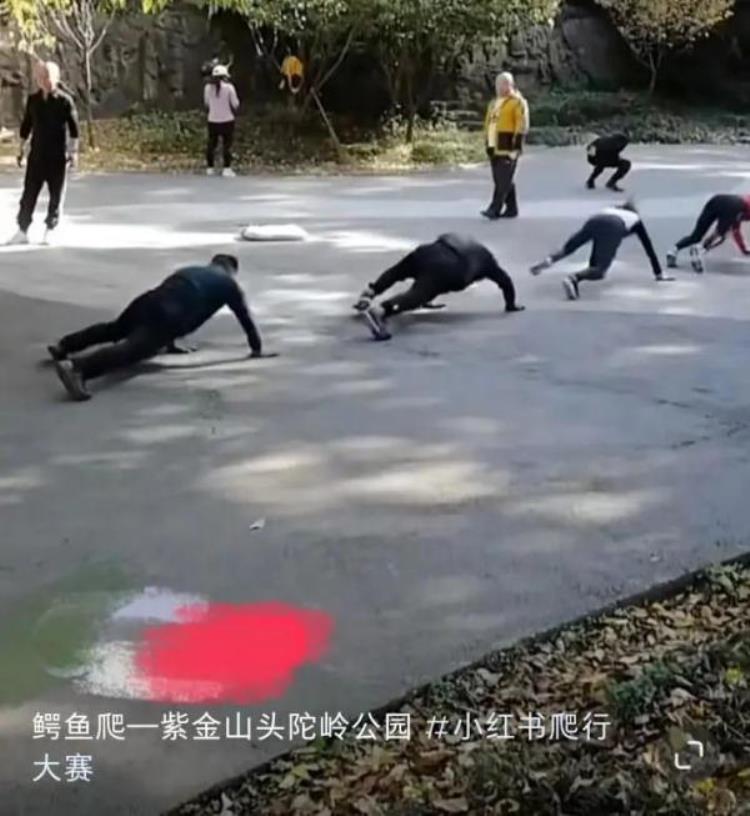 爬行前的热身运动「爬行锻炼突然爆火放松身心又能治病医生提醒」