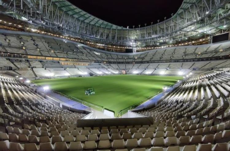 草坪升亿级2022世界杯草坪