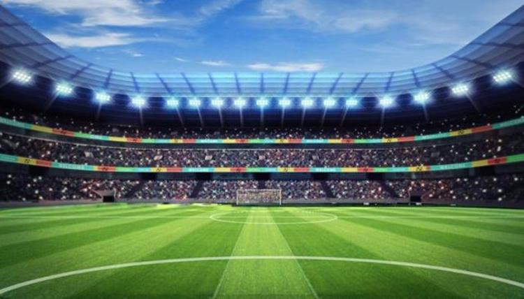 世界杯的草坪「草坪升亿级2022世界杯草坪」