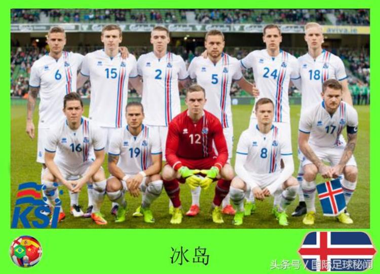 权威观赛助手2018俄罗斯世界杯图鉴之D组冰岛队