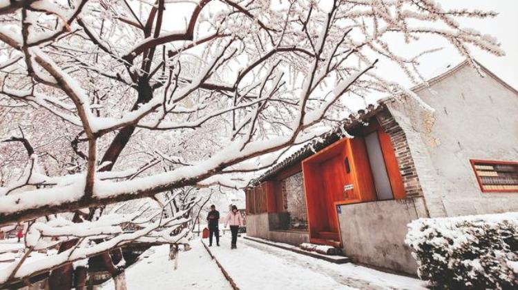 第五届美丽街巷我的家优秀作品评选揭晓了什么「第五届美丽街巷我的家优秀作品评选揭晓」