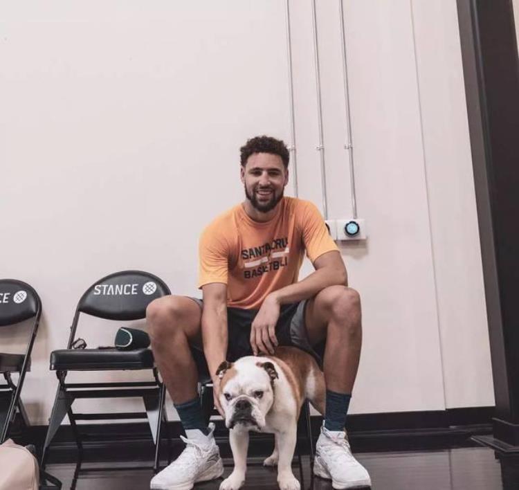 NBA球员都养什么宠物汤神的小狗还出球鞋拉塞尔养了一只猎豹