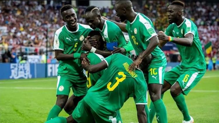 非洲新科冠军能否阻击橙衣军团世界杯塞内加尔VS荷兰