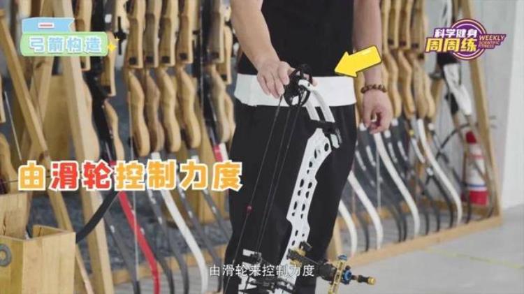 科学健身周周练丨蓄势挽弓落箭精彩