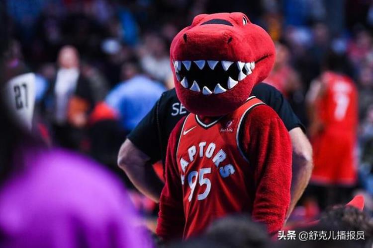 猛龙队是加拿大的吗「NBA猛龙队在加拿大本土有29支球队球员每次出国需要护照吗」