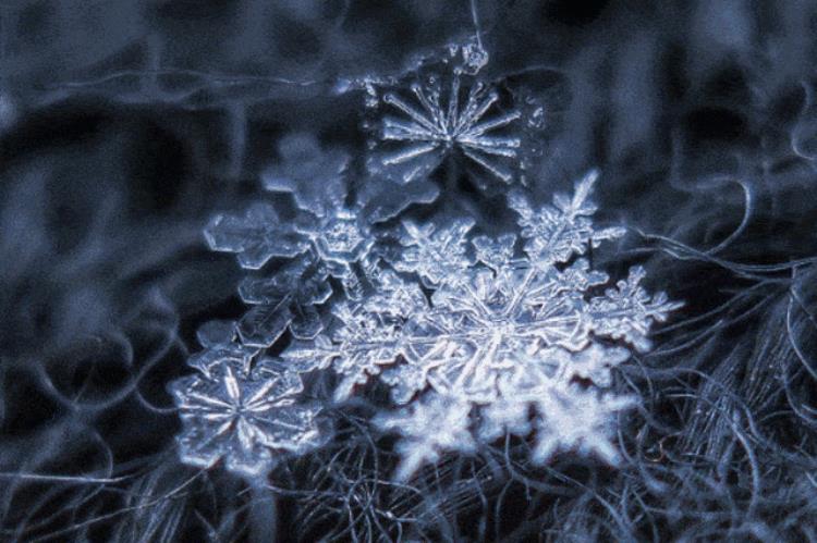 为什么雪花是六角形「一片雪花惊艳冬奥会开幕式为啥雪花是六角形存在其他形状吗」