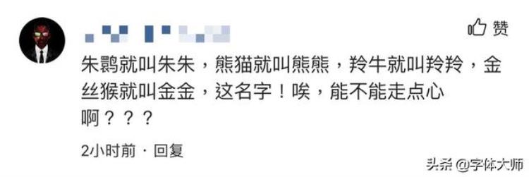 关于吉祥物我们为什么都是五个人「关于吉祥物我们为什么都是五个」