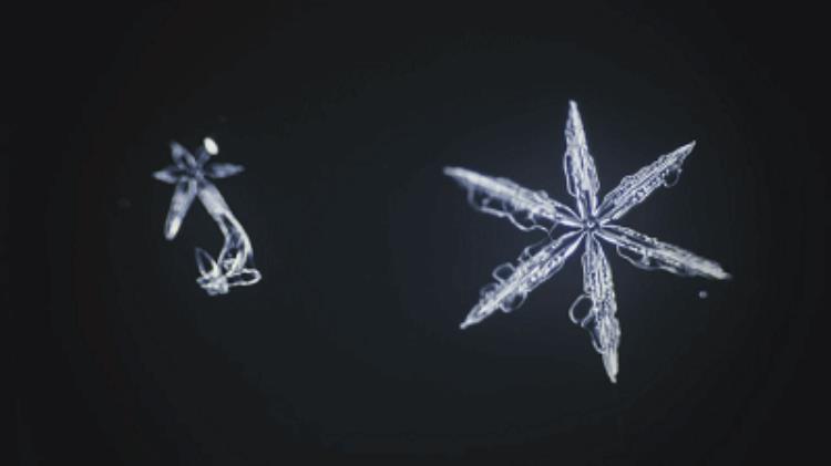 为什么雪花是六角形「一片雪花惊艳冬奥会开幕式为啥雪花是六角形存在其他形状吗」