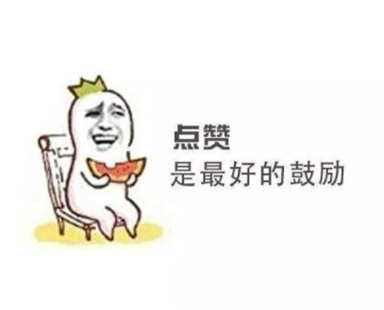 有关历史的冷知识「每日冷知识历史上最长的战争」