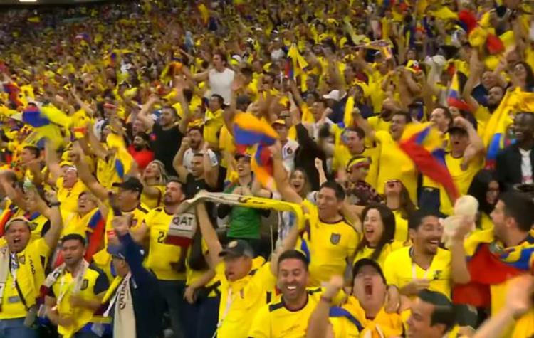 世界杯看台爆冲突厄瓜多尔球迷赢球输人数钞票挑衅惹怒卡塔尔