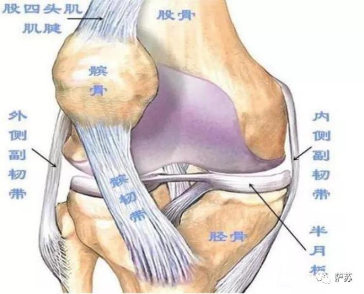 先天有心脏病后天又没了韧带中国蹦床世界冠军是怎样炼成的