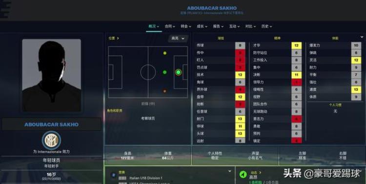 fm2021小牛推荐「FM2020足球经理TOP5非洲小牛」