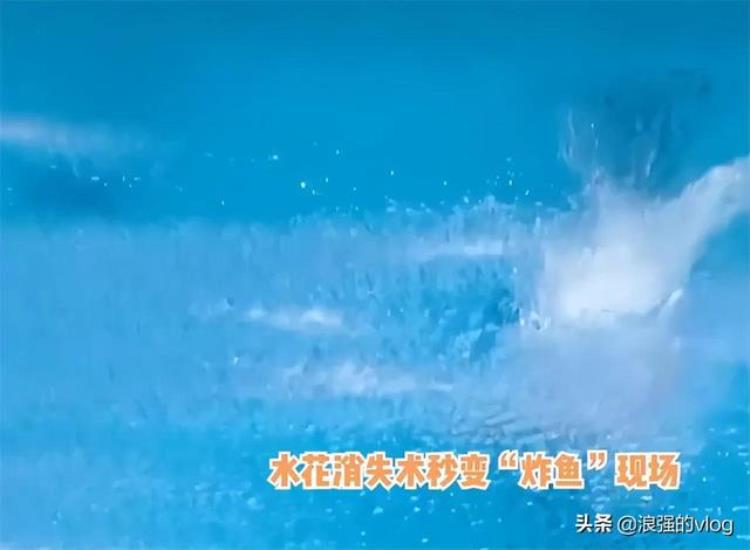 全红婵 14岁的奥运冠军「14岁就得奥运会冠军的全红婵凭啥红了解她的故事后我是哭了」