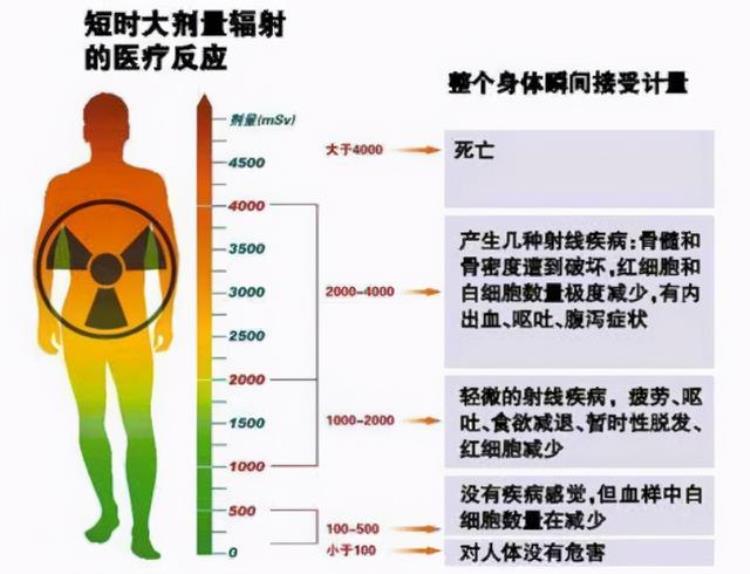 中国奥运运动员吃日本福岛食品「日本福岛食物上奥运各国运动员被迫吃核食背后目的不简单」