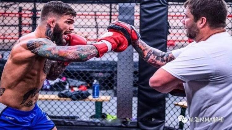ufc都是什么格斗「现UFC冠军们都是来自哪个格斗背景」