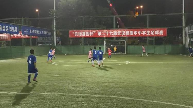武汉第27届足球晚报杯小学二年级赛后有感足球的魅力