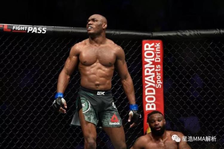 ufc都是什么格斗「现UFC冠军们都是来自哪个格斗背景」