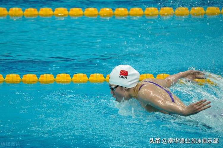 体育百科关于游泳的知识「体育百科关于游泳」