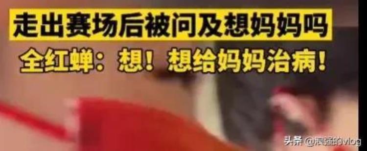 全红婵 14岁的奥运冠军「14岁就得奥运会冠军的全红婵凭啥红了解她的故事后我是哭了」