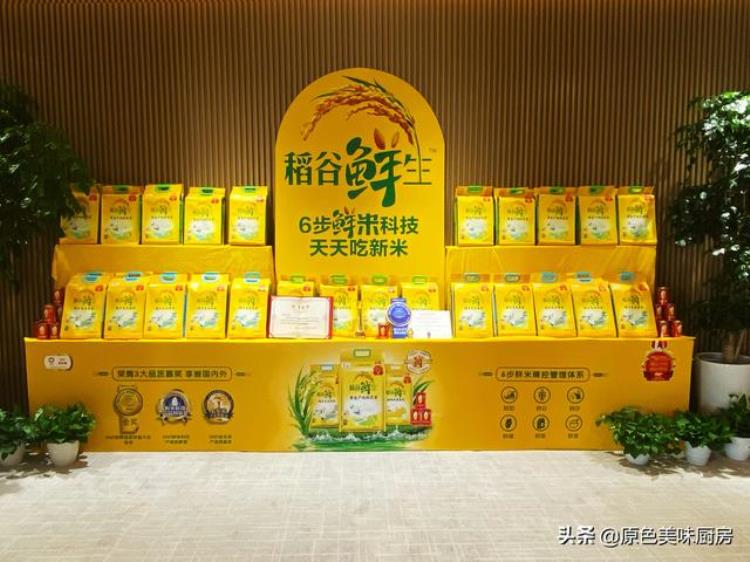 金龙鱼 稻谷鲜生「享鲜米品质向健康未来金龙鱼稻谷鲜生大米抢鲜迎冬奥」