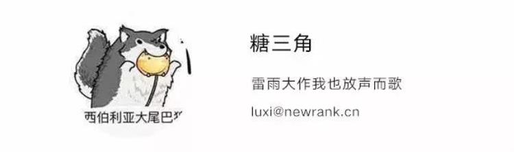 何凯文拥有220万粉丝的我像一个被公众号绑架的人小说「何凯文拥有220万粉丝的我像一个被公众号绑架的人」