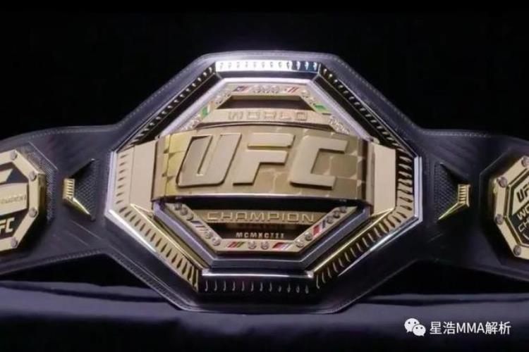 现UFC冠军们都是来自哪个格斗背景