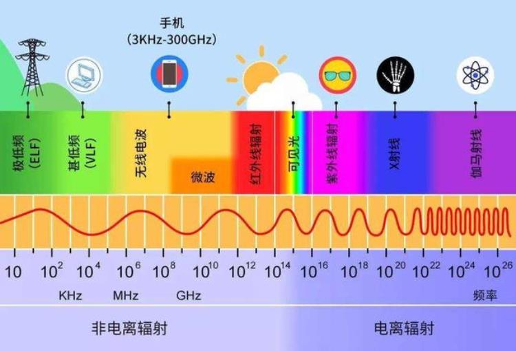 中国奥运运动员吃日本福岛食品「日本福岛食物上奥运各国运动员被迫吃核食背后目的不简单」