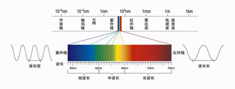 中国奥运运动员吃日本福岛食品「日本福岛食物上奥运各国运动员被迫吃核食背后目的不简单」