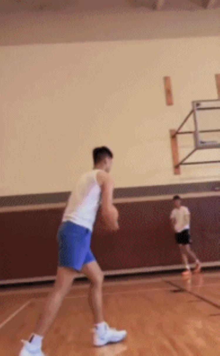 NBA最矮扣篮球员「排NBA最矮的五人169一样可以拿扣篮冠军你还在嫌弃我矮吗」