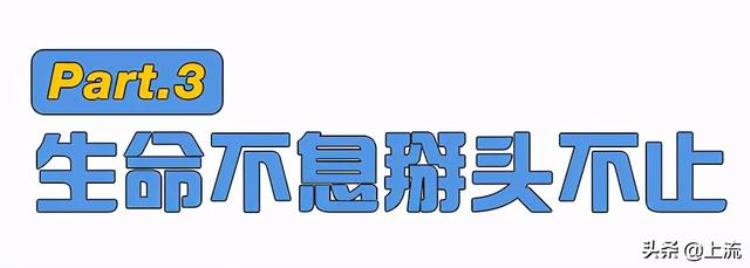 掰手腕很危险「掰手腕是恐怖极限运动望周知」