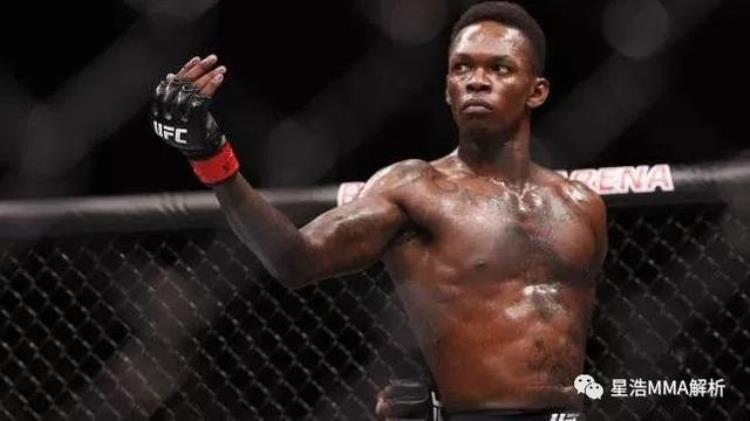 ufc都是什么格斗「现UFC冠军们都是来自哪个格斗背景」