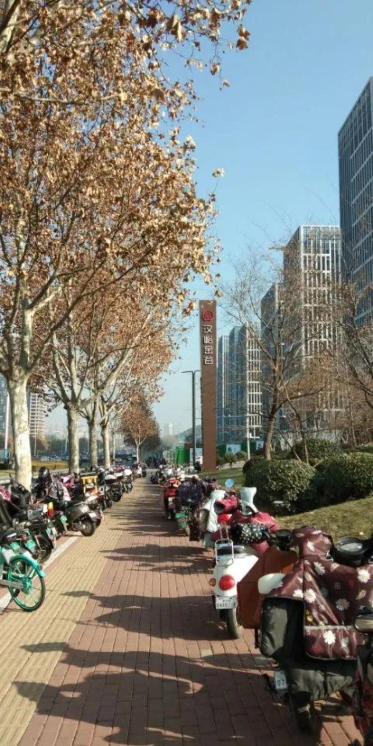 济南经十路的情话「济南经十路浪漫的代名词」