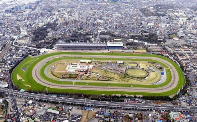 东京除了富士山与樱花东京还是亚洲唯一举办过两届奥运会的城市
