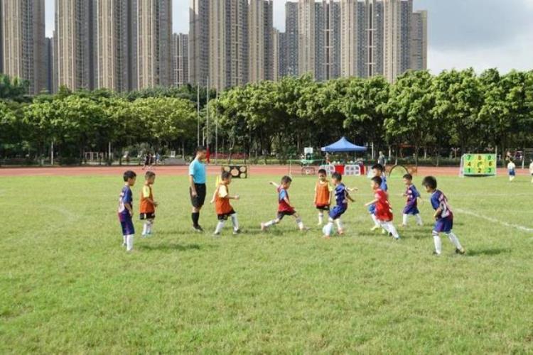 派迪茵助力全国少儿足球星计划广东分赛区闪耀绿茵场