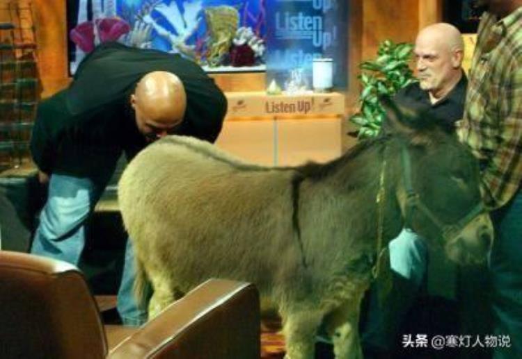 姚明在nba的经历「姚明22岁青涩登录NBA那段激荡人心的往事」