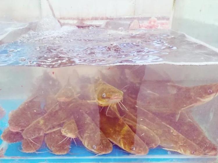 老胡同里的菜市场不仅物美价廉新鲜丰富还藏着冰墩墩