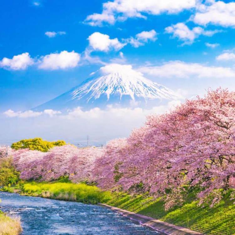东京除了富士山与樱花东京还是亚洲唯一举办过两届奥运会的城市